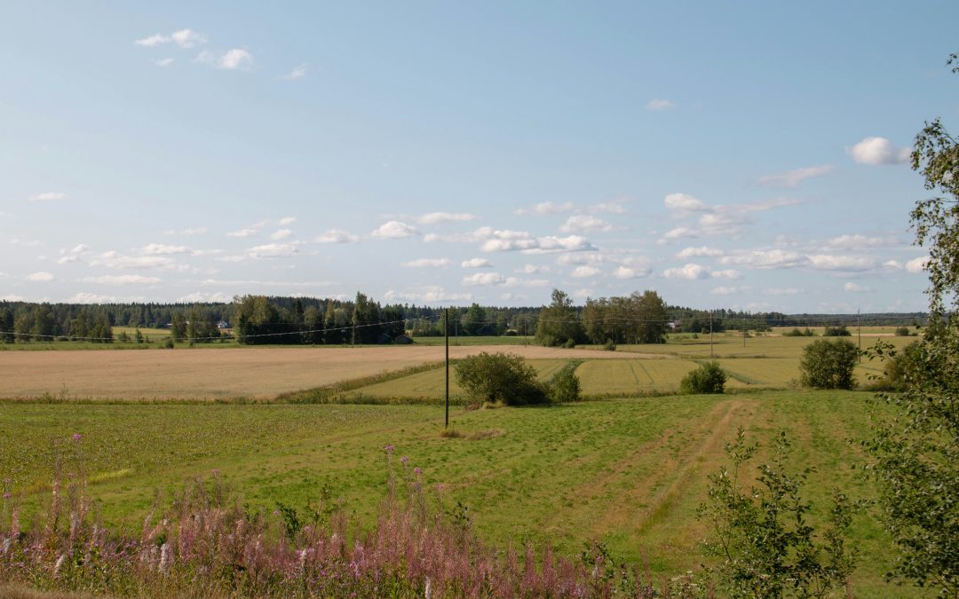 Energiavarat talteen ennen syksyn pimeitä