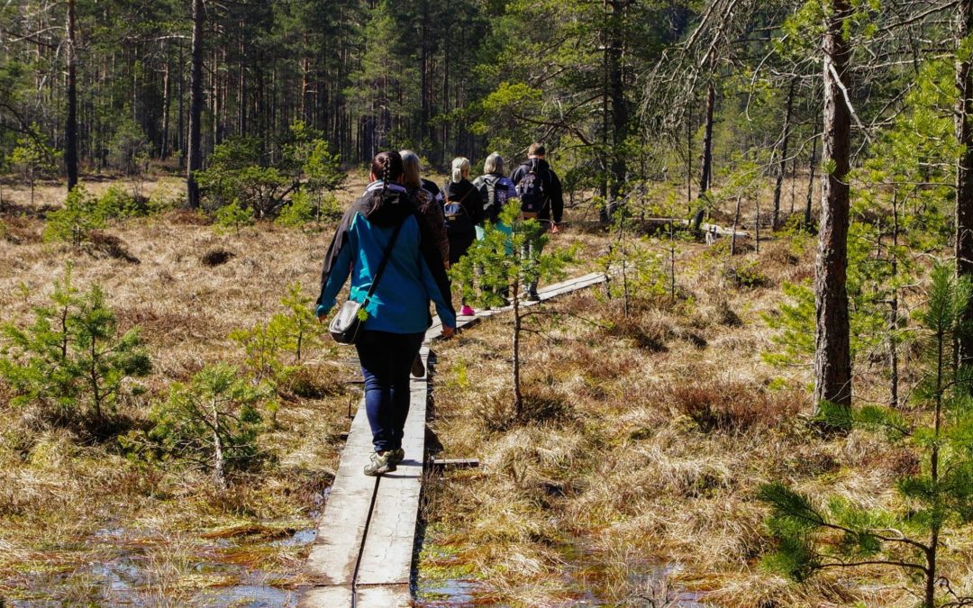 Fyysinen kunto on työkyvyn perusta ja paljon muun hyvän mahdollistaja