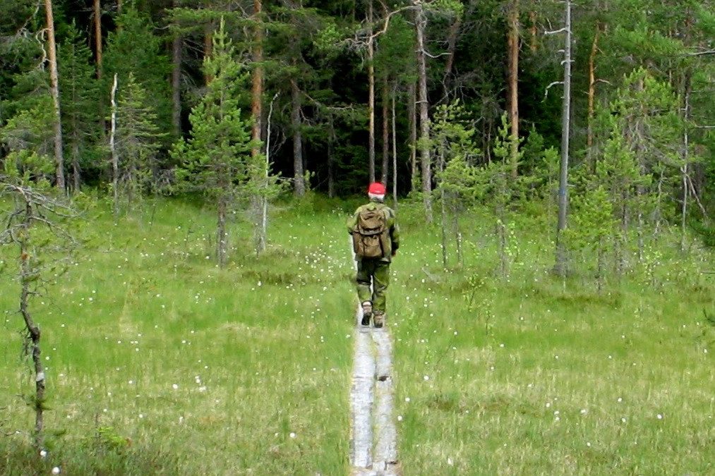 Laatu ei ole täydellisyyttä eikä sprintillä menesty liike-elämässä