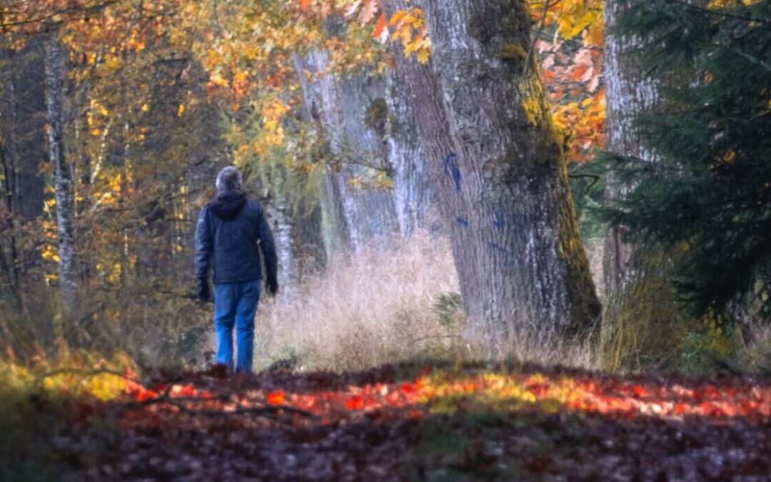 Kun työ kuormittaa, liikunnan ei tarvitse olla uusi suoritus